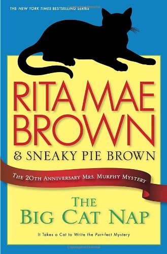 The Big Cat Nap book cover