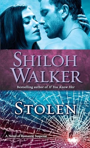 Stolen book cover