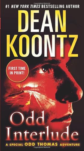 Odd Interlude book cover