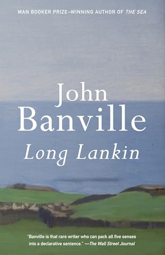 Long Lankin book cover