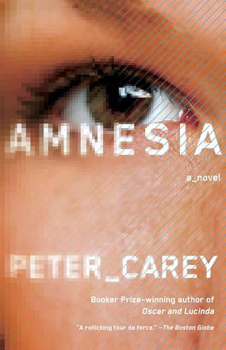 Amnesia book cover