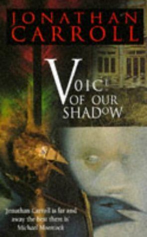 Voice of Our Shadow book cover
