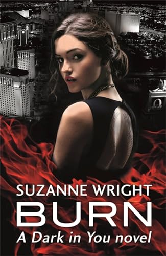 Burn book cover