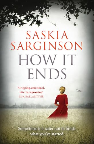 How It Ends book cover
