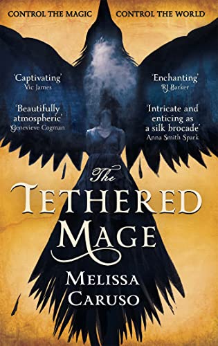 The Tethered Mage book cover