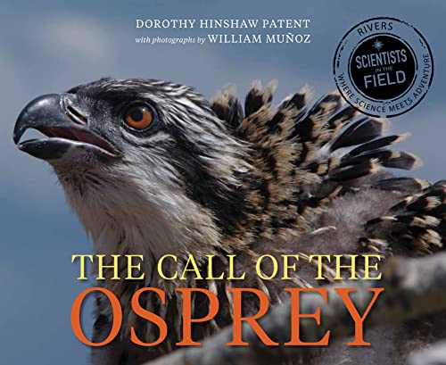Cover of Call of the Osprey