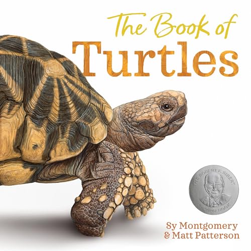 The Book of Turtles (With: Matt Patterson) cover