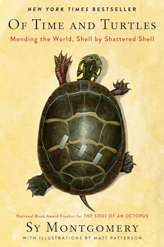 Of Time and Turtles: Mending the World, Shell by Shattered Shell (With: Matt Patterson) cover