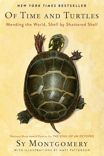 Of Time and Turtles: Mending the World, Shell by Shattered Shell book cover
