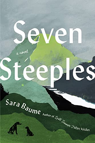 Seven Steeples book cover