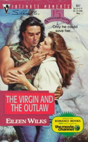 The Virgin and the Outlaw book cover