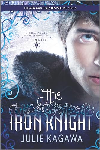 The Iron Knight book cover