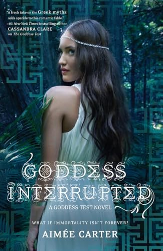 Goddess Interrupted book cover