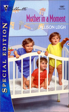Mother in a Moment book cover