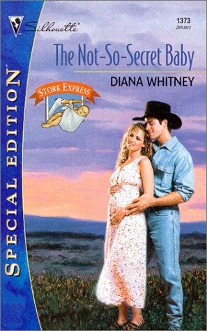 The Not-So-Secret Baby book cover