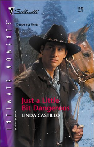 Just A Little Bit Dangerous book cover