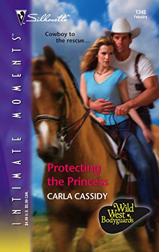 Protecting the Princess book cover