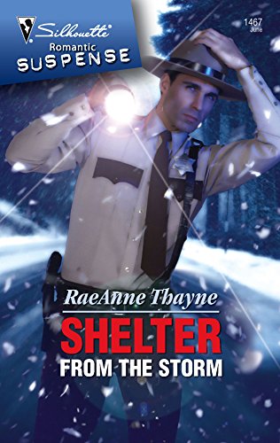 Shelter From the Storm book cover