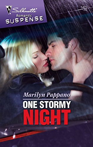 One Stormy Night book cover