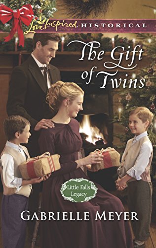 The Gift of Twins book cover