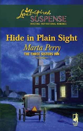 Hide in Plain Sight book cover