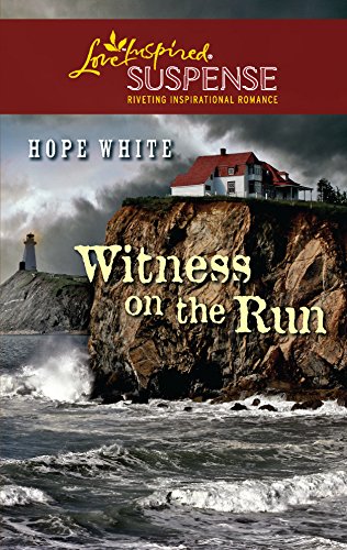 Witness on the Run book cover