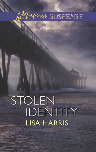 Stolen Identity book cover