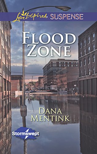 Flood Zone book cover
