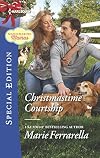 Christmastime Courtship