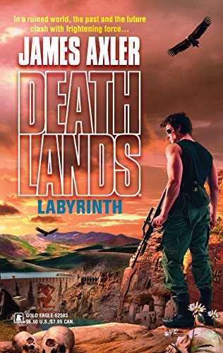 Labyrinth book cover