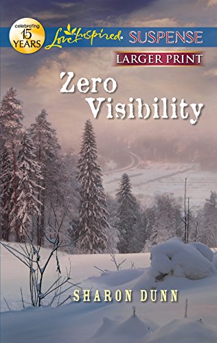 Zero Visibility book cover