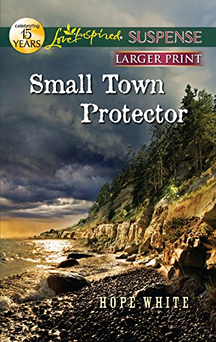 Small Town Protector book cover