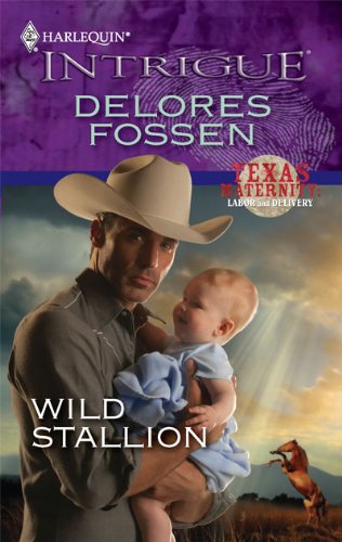 Wild Stallion book cover