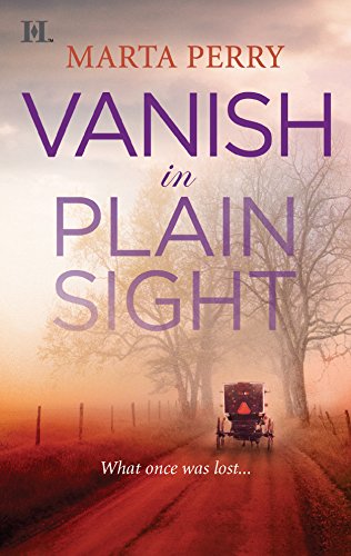 Vanish in Plain Sight book cover