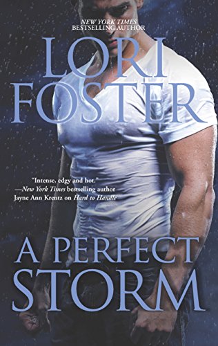 A Perfect Storm book cover