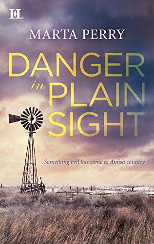 Danger in Plain Sight book cover