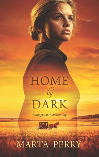 Home by Dark book cover