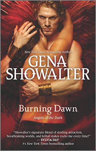 Burning Dawn book cover