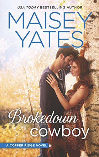 Brokedown Cowboy book cover