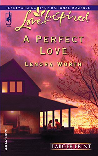 A Perfect Love book cover