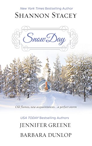 Snow Day book cover