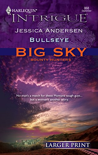 Bullseye book cover