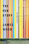 The fun stuff: and other essays