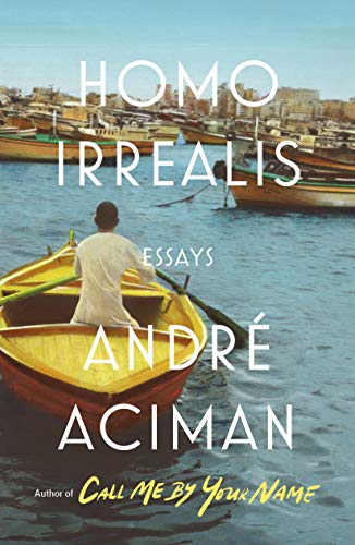 Homo Irrealis book cover