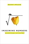 Imagining Numbers (Particularly the Square Root of minus Fifteen)