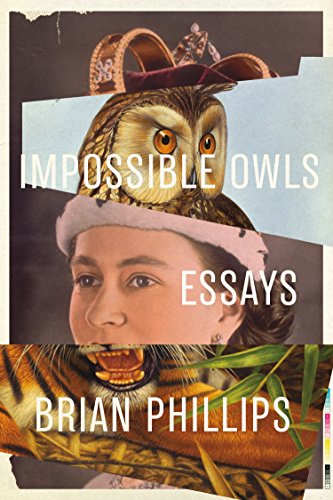 Impossible Owls book cover