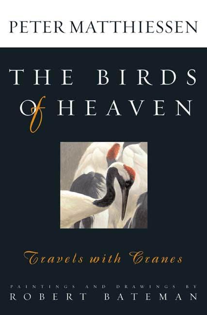 The birds of heaven : travels with cranes / Peter Matthiessem