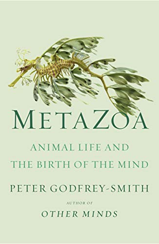 Metazoa: Animal Life and the Birth of the Mind book cover
