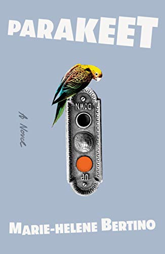 Parakeet cover