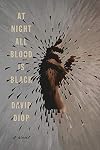 At Night All Blood Is Black